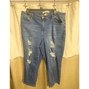 Cato jeans, distressed style, size 16W, barely worn.